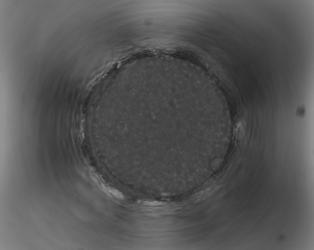 X0000116120772200912211653