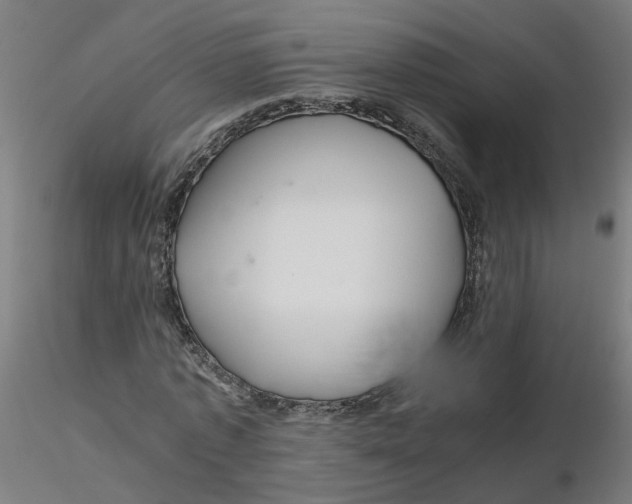 X0000116120773200912211653