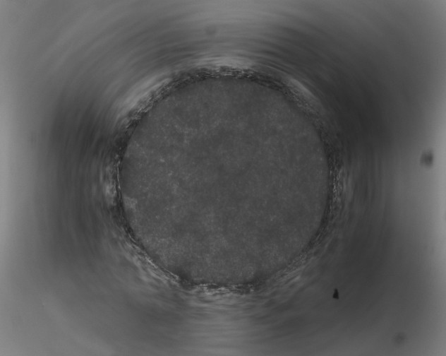 X0000116120774200912211653