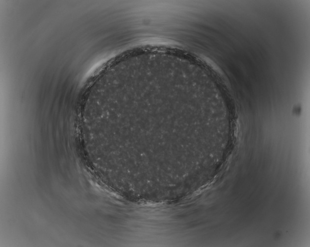 X0000116120775200912211653