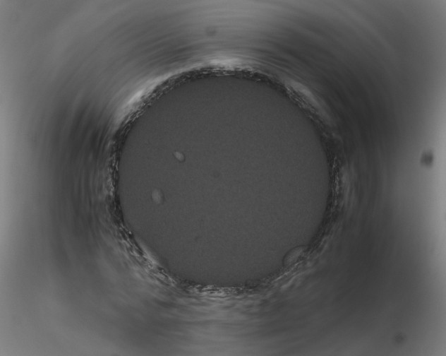 X0000116120776200912211653