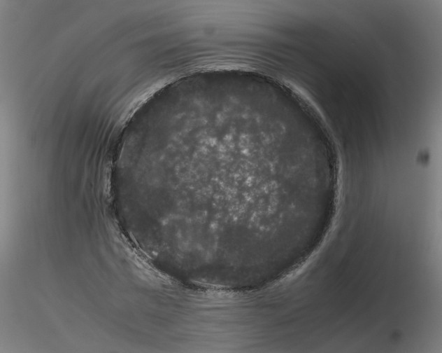 X0000116120777200912211653