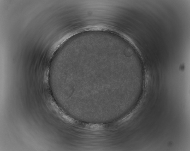 X0000116120778200912211653