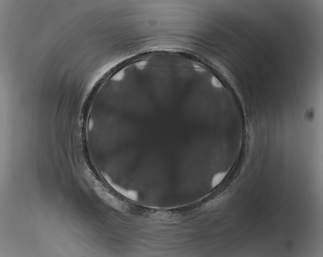 X0000116120779200912211653