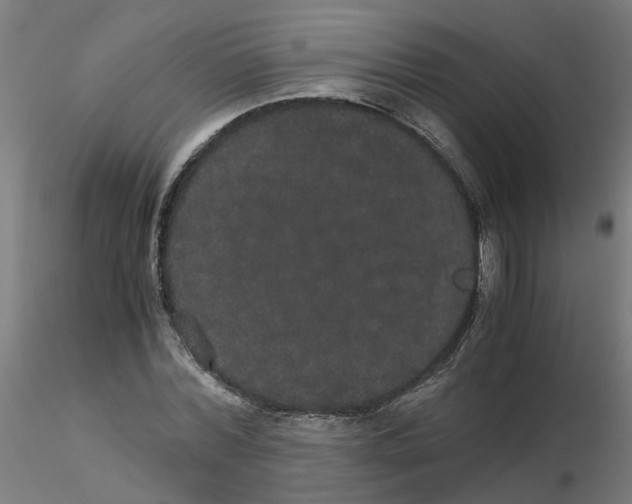 X0000116120780200912211653