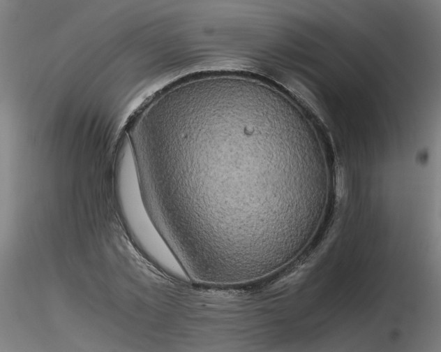 X0000116120781200912211653