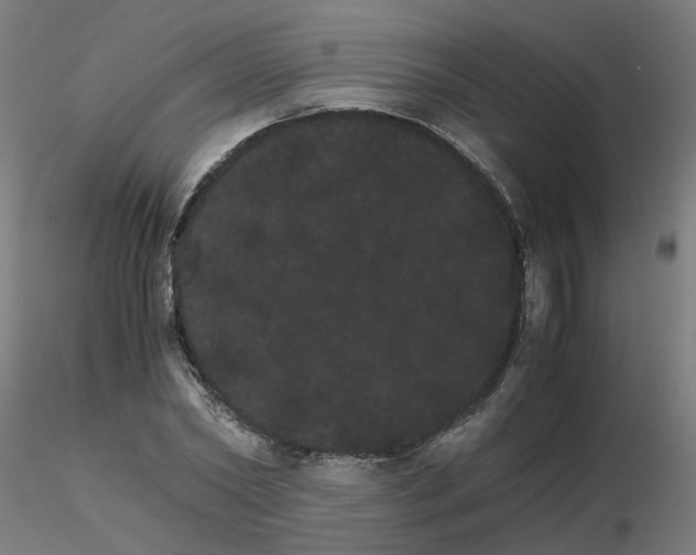 X0000116120782200912211653