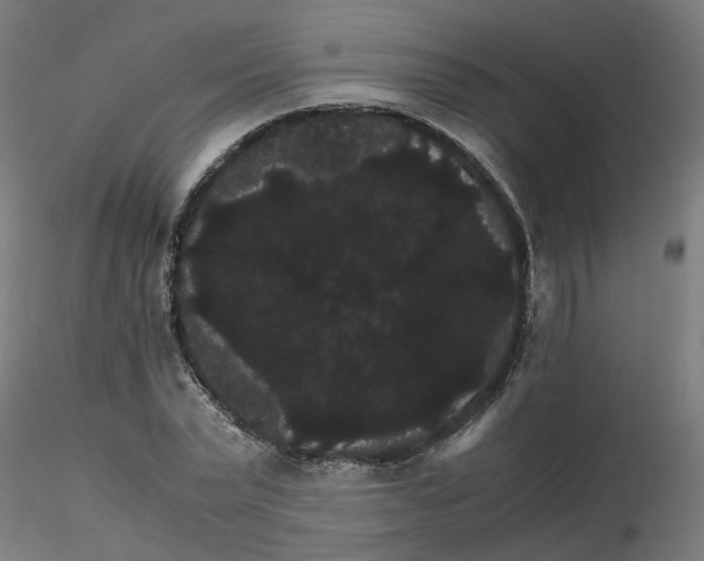 X0000116120783200912211653