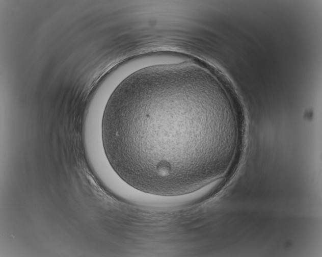 X0000116120785200912211653