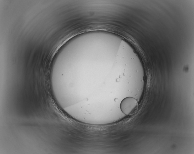 X0000116120786200912211653