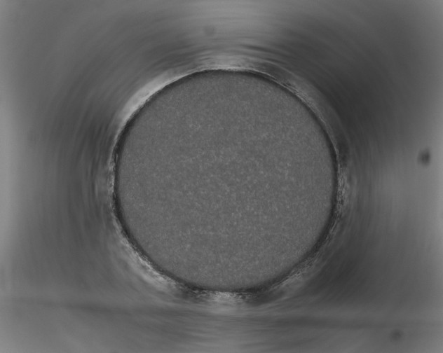 X0000116120787200912211653