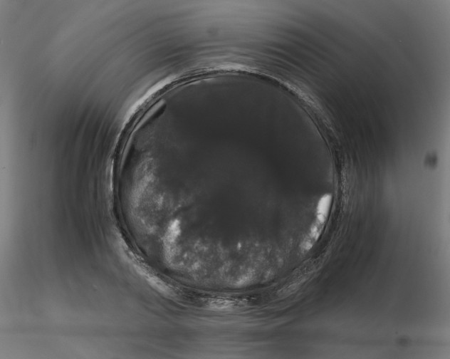 X0000116120790200912211653