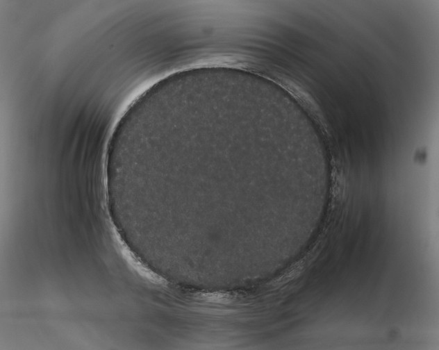 X0000116120792200912211653