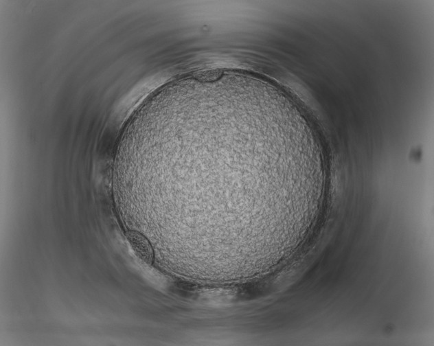 X0000116120793200912211653