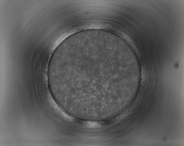 X0000116120794200912211653