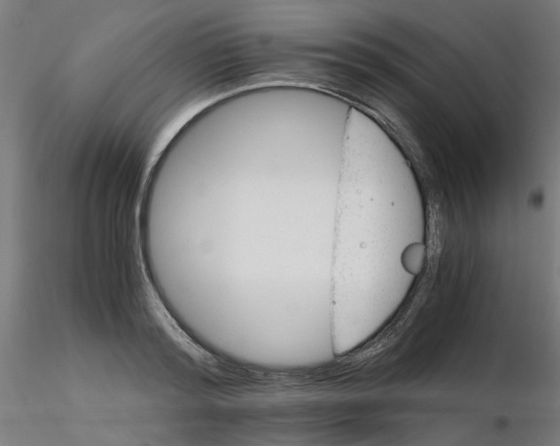 X0000116120796200912211653