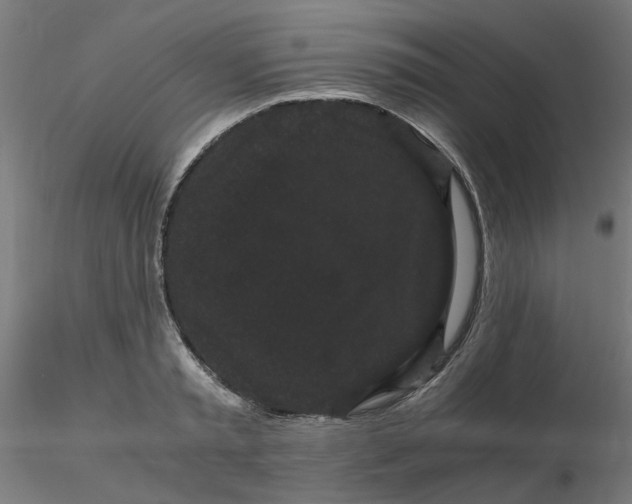 X0000116120797200912211653