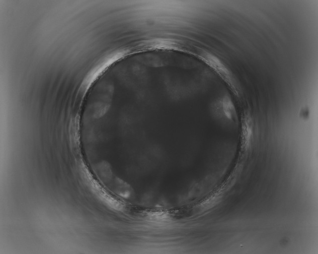 X0000116120798200912211653