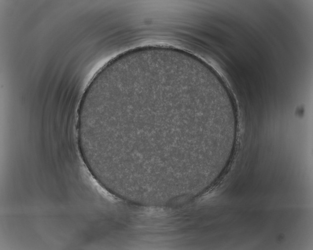 X0000116120799200912211653