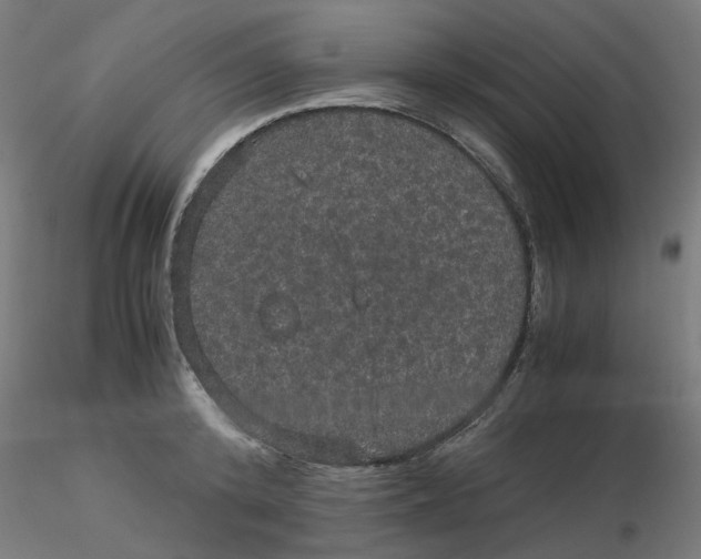 X0000116120800200912211653