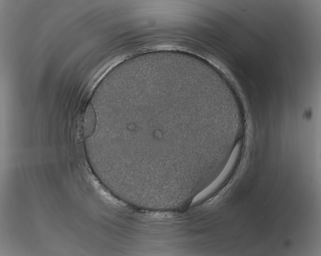 X0000116120801200912211653