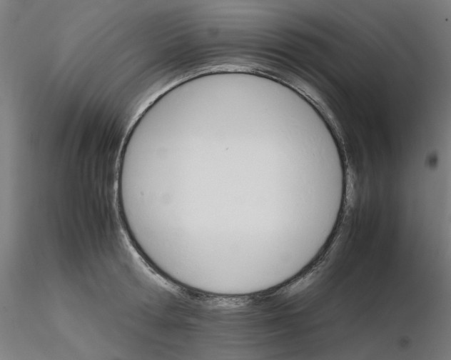 X0000116120802200912211653
