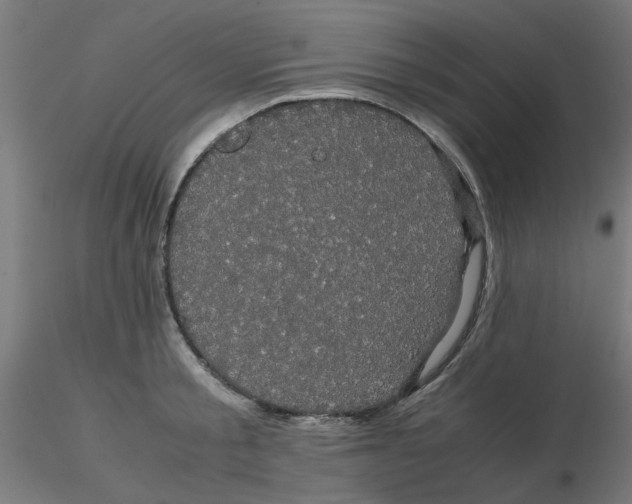 X0000116120805200912211653