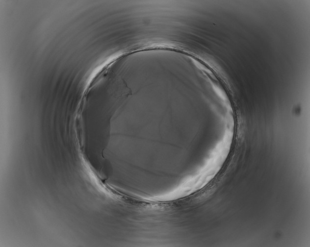 X0000116120806200912211653