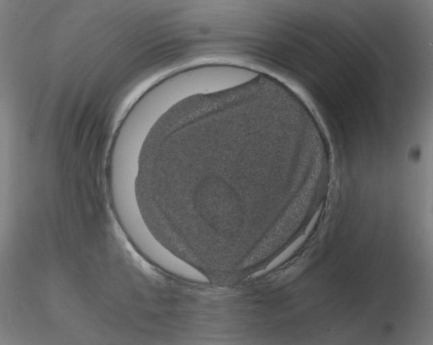 X0000116120807200912211653