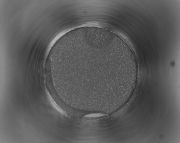 X0000116120808200912211652