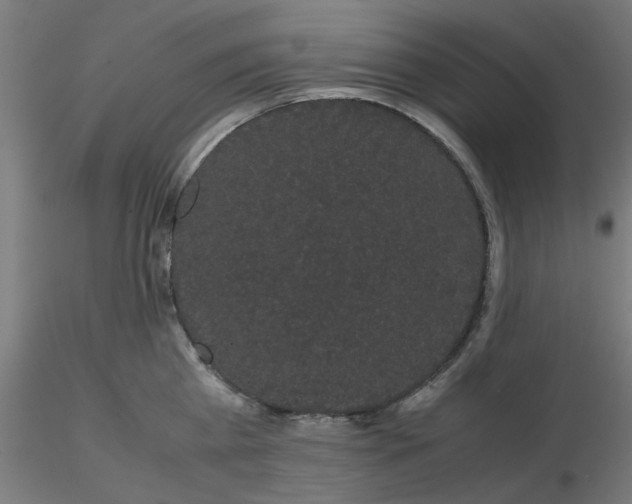 X0000116120809200912211652