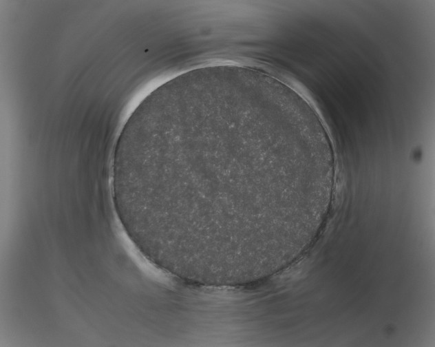 X0000116120811200912211652