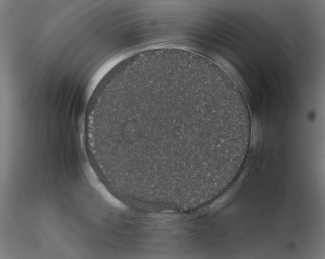 X0000116120812200912211652