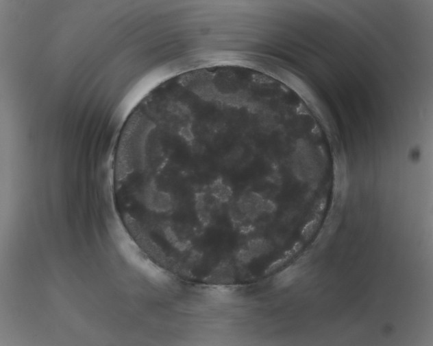 X0000116120814200912211652
