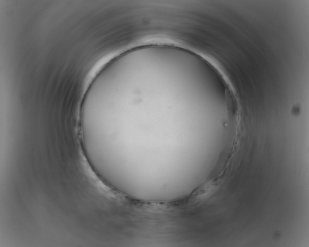 X0000116120815200912211652