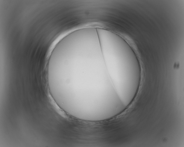 X0000116120816200912211652