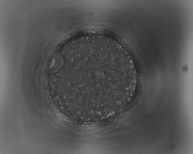 X0000116120817200912211652