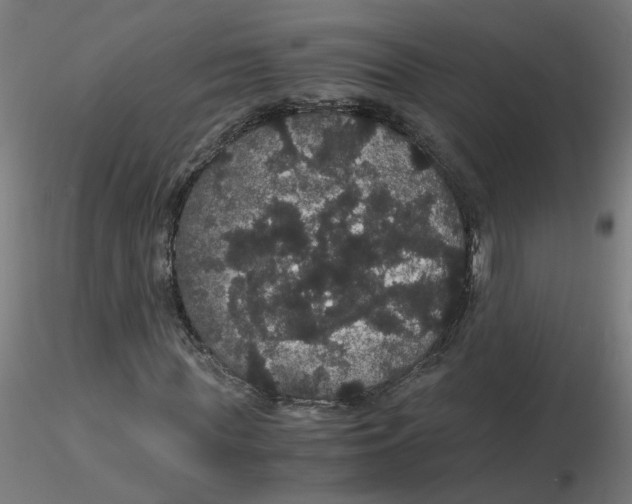 X0000116120819200912211652
