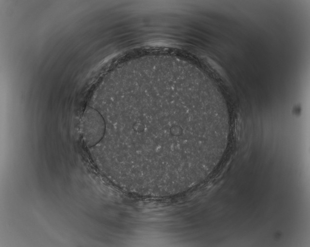X0000116120821200912211652