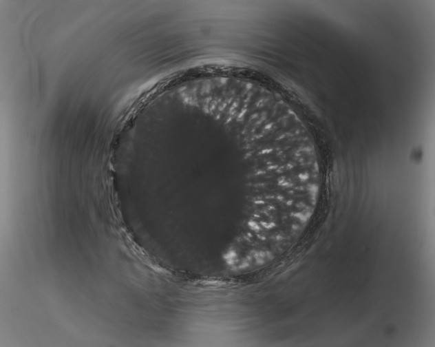 X0000116120822200912211652