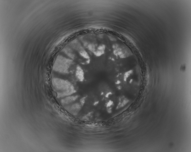 X0000116120823200912211652