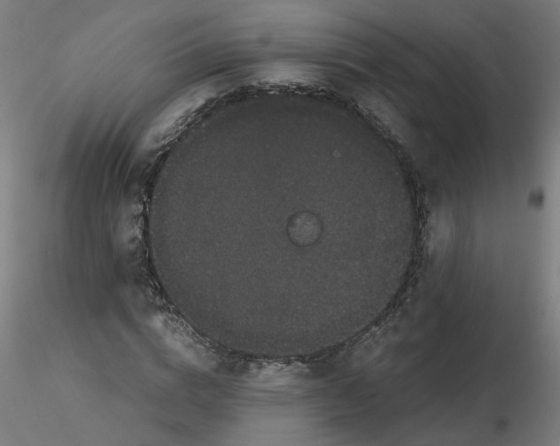 X0000116120824200912211652