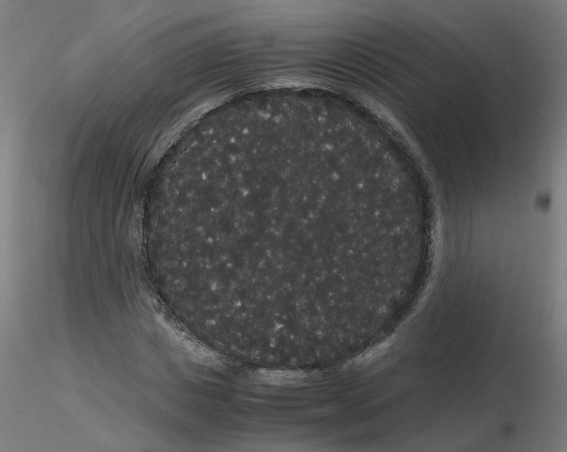 X0000116120825200912211652