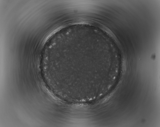 X0000116120826200912211652