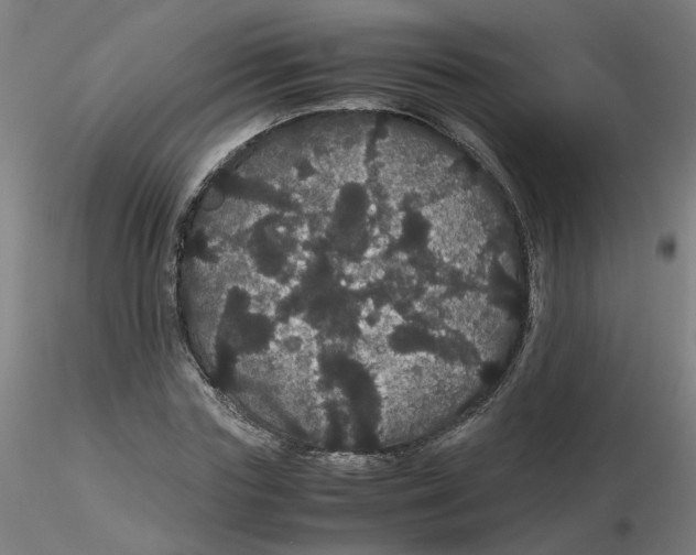 X0000116120827200912211652