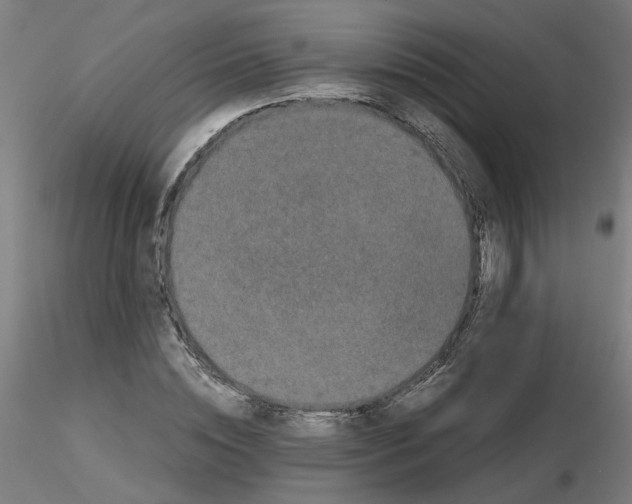 X0000116120828200912211652