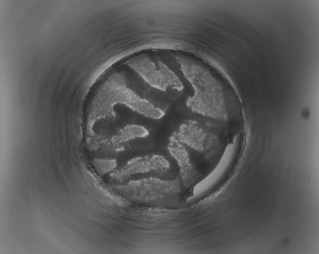 X0000116120829200912211652