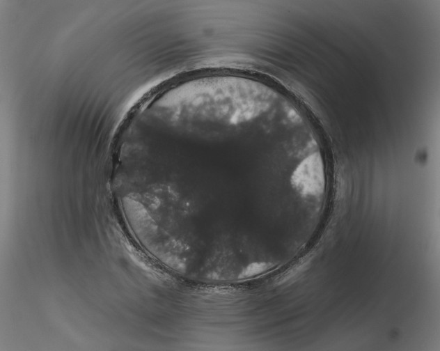 X0000116120830200912211652