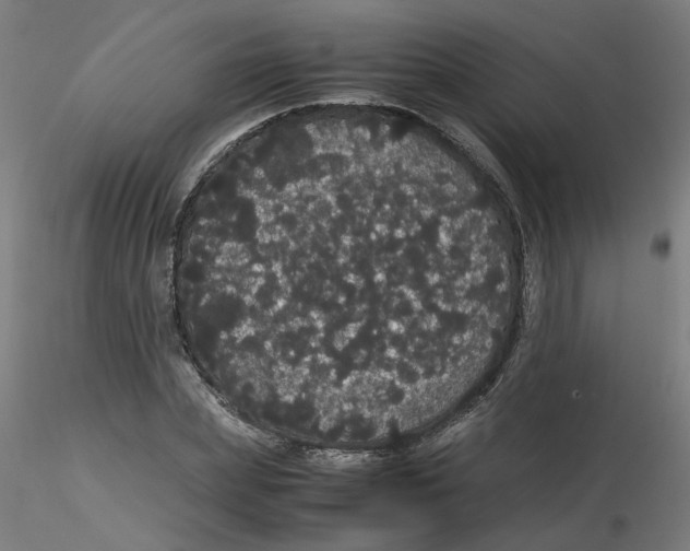 X0000116120831200912211652