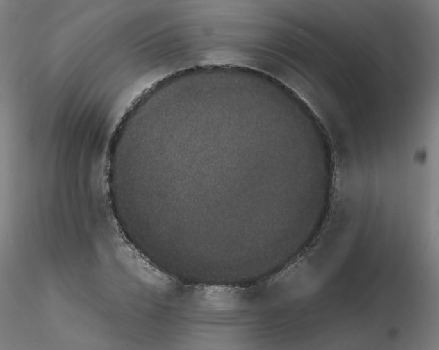 X0000116120832200912211652